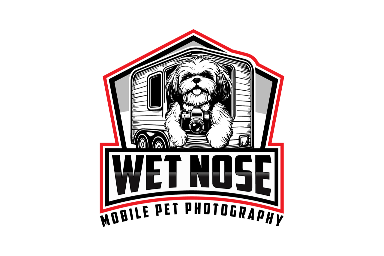Wet Nose Photography